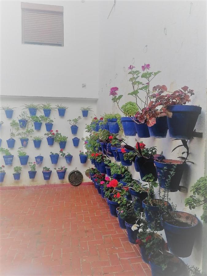 Plaza Mayor 2 Dormitorios Кордова Экстерьер фото